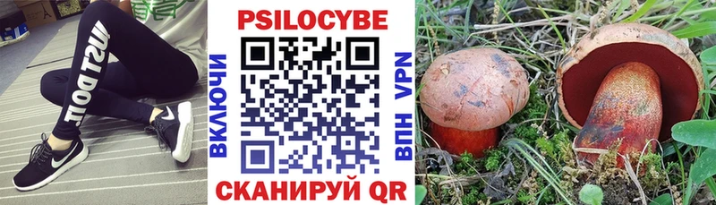 ОМГ ОМГ ссылка Темников Галлюциногенные грибы Magic Shrooms